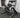 Standing ISO Leg Curl | Plate Loaded