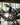 V-Squat | Hack Squat Plate Loaded Machine