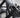 Primal Performance Series Plate Loaded Bicep Curl
