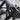 Primal Performance Series Plate Loaded Bicep Curl